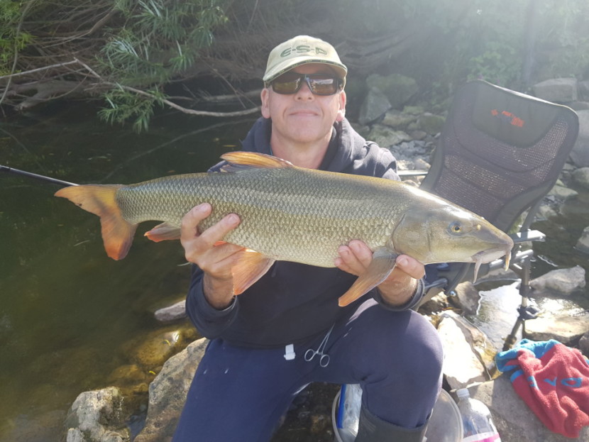 Handsome Thomas Wood barbel - JS from Bristol